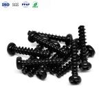 Custom Electronic Screws Carbon Steel Pan Head Phillips Groove Screws Electropla