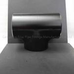 DN50 DN65 Steel Butt Weld Fittings ASTM WPB Seamless Eccentric Reducing Tee