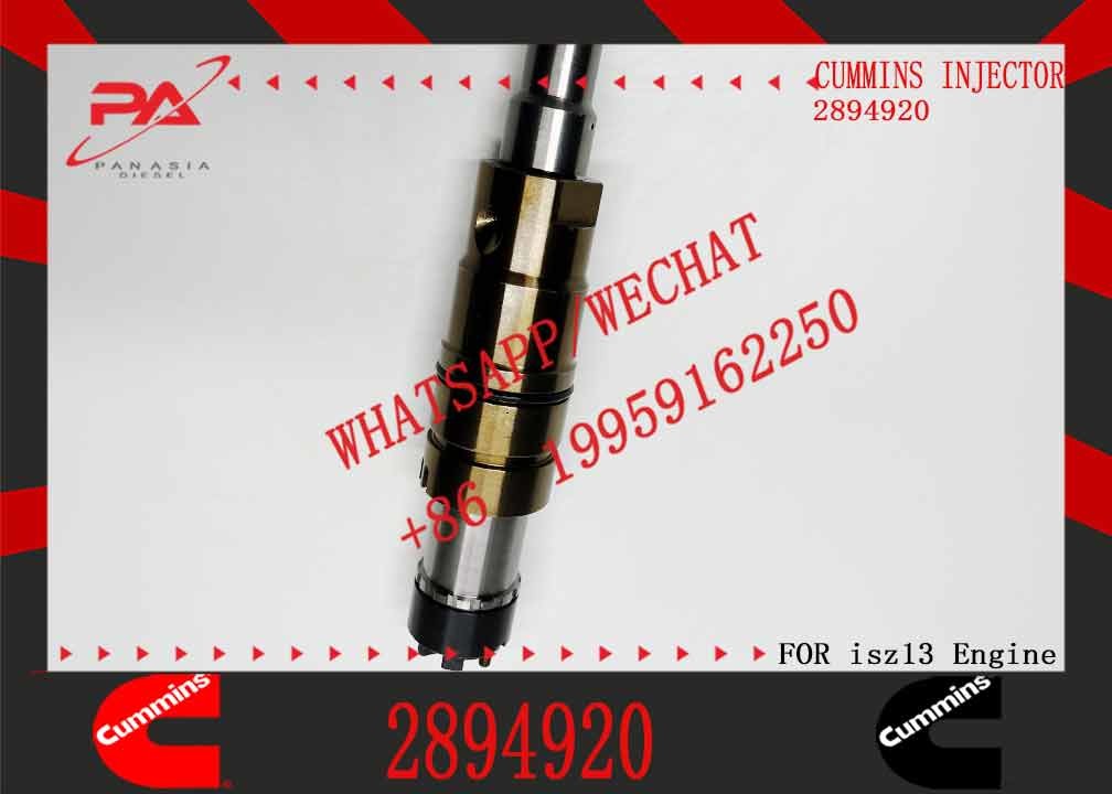 Factory Supply Common Rail Diesel Injector 2894920 Auto Engine Part 2894920 2897320