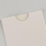 250gsm 300gsm Eco Friendly Paper Envelope Packaging For Gift Card