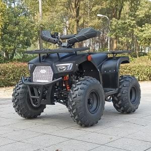 China 125cc Four Wheel Atv Four Stroke Single Cylinder Max Horsepower 8.0kw 9500r/Min factory
