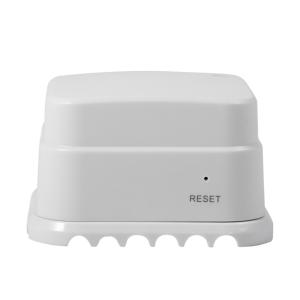 China Wi-Fi Water Leak Detector(WiFi-201) factory