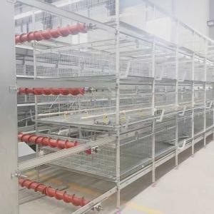 China Anti Fall Broiler Chicken Cage A Type / H Type Less Respiratory Diseases factory