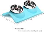 Double Dog Cat Stainless Steel Pet Bowls No Spill Resin Station