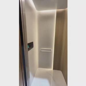 China 220V AC Screw Drive Home Elevator with Automatic Sliding Door and 400 Kg Capacity factory