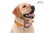 Smart Wifi Pet GPS Tracker , Anti - Lost GPS Dog Tracking Collar Led Singal