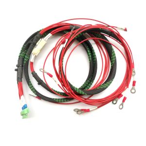 China Customized Wire Harness Cable Assembly Automotive Power Cable Assembly ODM on sale