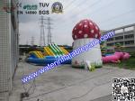 Outdoor Inflatable Water Park For Kids