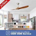 5 Speeds Low Noise DC Motor Ceiling Fan With 2 Solid Wood Blades