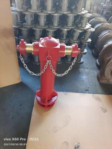 China OEM pedestal Pillar Type Fire Hydrant DN100/DN150 PN16 Pressure factory