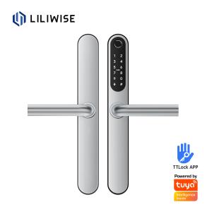 China Wifi Waterproof Elegant Electronic Slim Digital Smart Door Lock factory