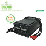 48 Volt Lithium Ion Battery 50Ah 100Ah 105Ah Golf Cart LiFePO4 Battery 48V 280Ah
