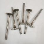 High Quality Excavator Auto Parts Engine Parts NT855 Exhaust Valve 3040830