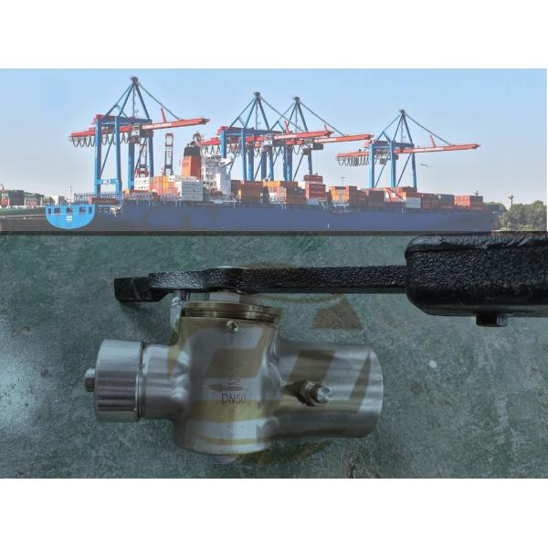 stainless steel SELF-CLOSING VALVE FOR TANK SOUNDING. WITH VENT VALVE. MODEL-FH