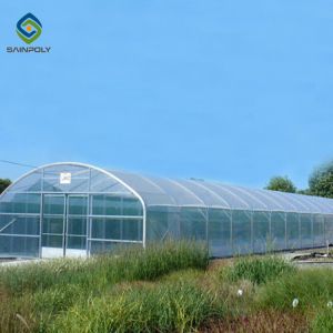 China Galvanized Steel Hoop Style Greenhouse Single Span Tunnel Strawberry Greenhouse on sale