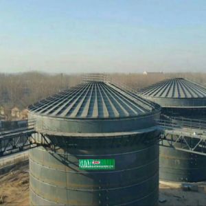 China WWTP 800m3 Biogas Digester Tank RNG Anaerobic Digester Septic Tank on sale