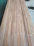 American Red Gum Veneer, Satin Walnut Natural Wood Veneers from www.shunfang