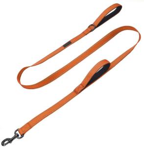 China Double Handle Reflective Nylon Dog Leash factory