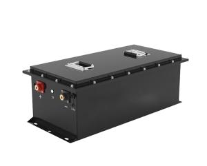 China Smart CANBUS RS485 Lithium Golf Cart 48V 51.2V 200Ah LiFePO4 LFP Battery Pack with LCD LED Display / Charger factory