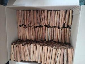 China 13.5% Moisture Cigarette Cassia Bulk Supply Herbs And Spices on sale