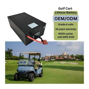 China Custom Made Golf Cart Lithium Battery Pack 48V160AH With Anderson Socket on sale