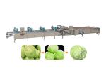 carrots 10.1kw 1500kg/h SS304 Vegetable Dryer Machine