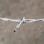 50kg Galvanized Razor Barbed Wire Mesh Stainless Steel Barb Wire Fence Roll