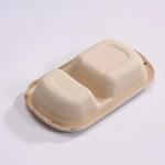Eco Friendly Compostable Sugarcane Container 1000ml 2 Compartment Takeaway