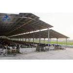Prefabricated Steel Structure Livestock Shed Height 2-10 Meters For Pig Farm