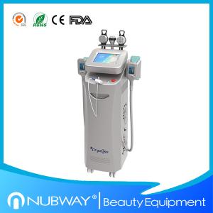 China Hot promotion!!!!! 2014 Newest Beauty Equipment Cryolipolysis Fat Reducing Machine factory