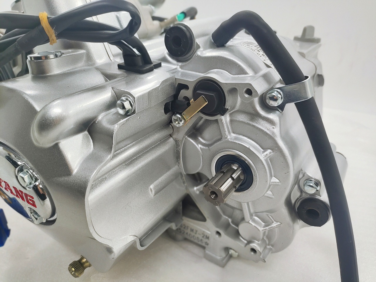 4 Stroke DAYANG Complete Motorcycle Nature 110CC Gasoline Engine Ignition Style Origin CCC