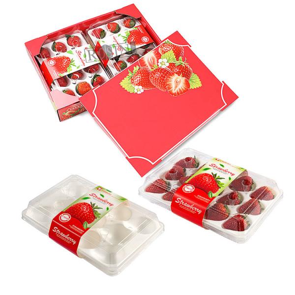 China Strawberry Disposable Fruit Salad Containers Transparent PET With Inner Tray factory