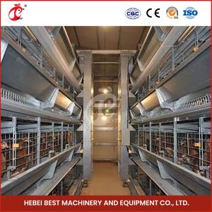 China Auto Feeding Poultry Farming Cage System With Metal Feeder Troughs H Type Steel Wire Cage Frame Rose factory