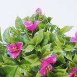 Faux Boxwood Artificial Green Walls 25mm Hedge Privacy Fence