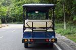 Mini Electric Golf Carts 14 Passengers Electric Sightseeing Car Blue Color