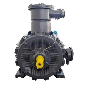 China 0.5 Hp 1.5 Hp 10 Hp 15hp 7.5 Hp 3 Phase Air Compressor Motor Electric 415V factory