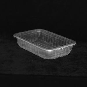 China 260 X 170 X 55 MM Disposable Plastic Tray Square Food Package Container With Lid factory