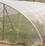 100% HDPE Insect Proof Net Plastic Agricultural Greenhouse Anti