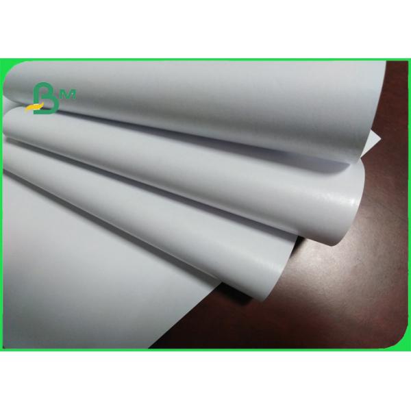 PE coated woodfree paper