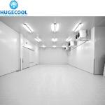 Large High Density Polyurethane Panel Cold Room for Meat and Fish Assembled