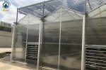 Organic Crop Farming Polycarbonate Greenhouse Indoor Vegetable Greenhouse