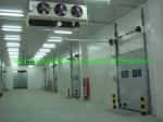 Small Walk in Freezer/Chiller for Vegetables Fruits Refrigerant Freon Cold