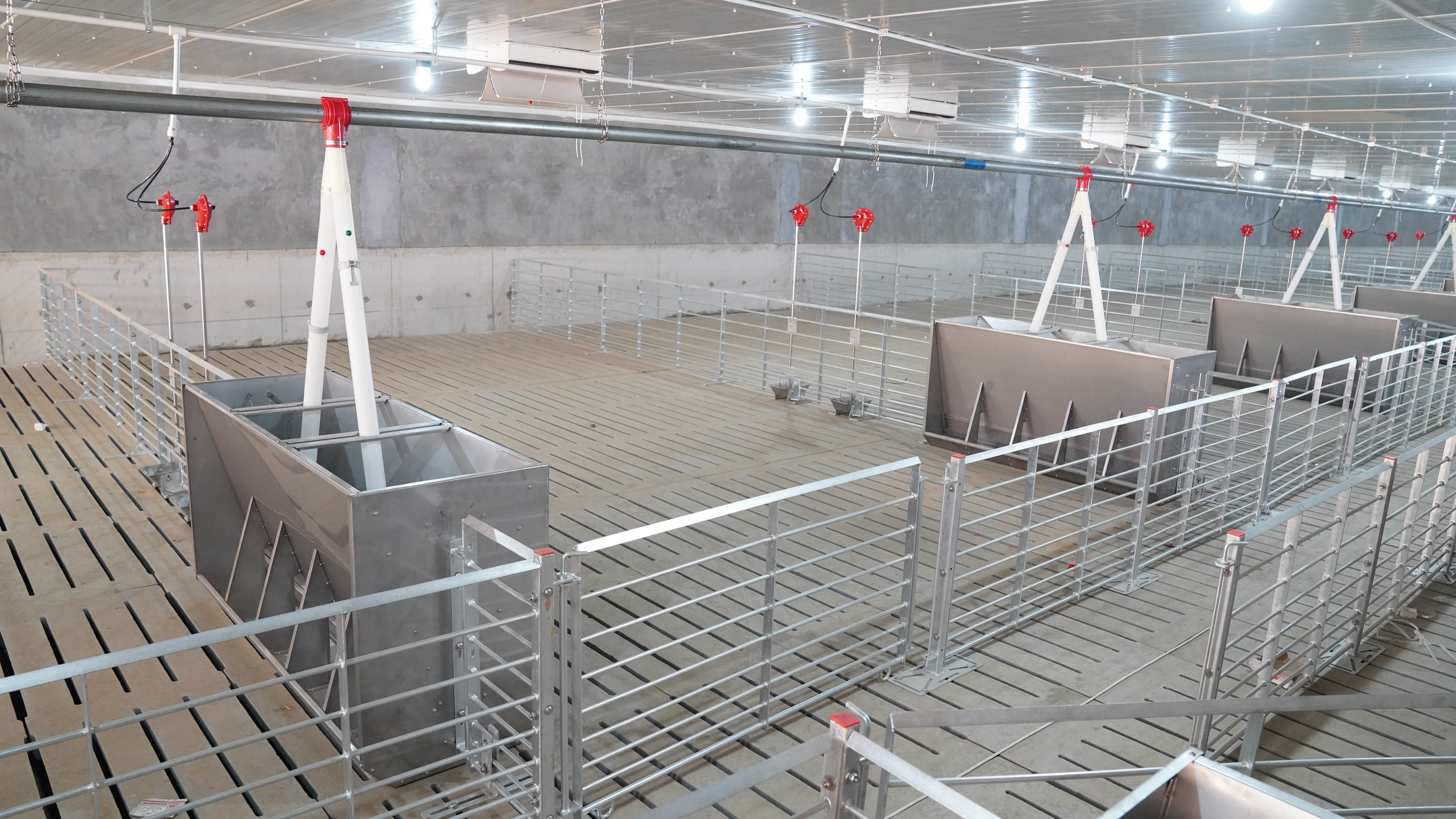 Weaning Pig Stainless Steel Feed Trough Food Trough For Pigs