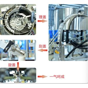 Pesticide and fertilizer linear automatic spindle capping machine Spindle