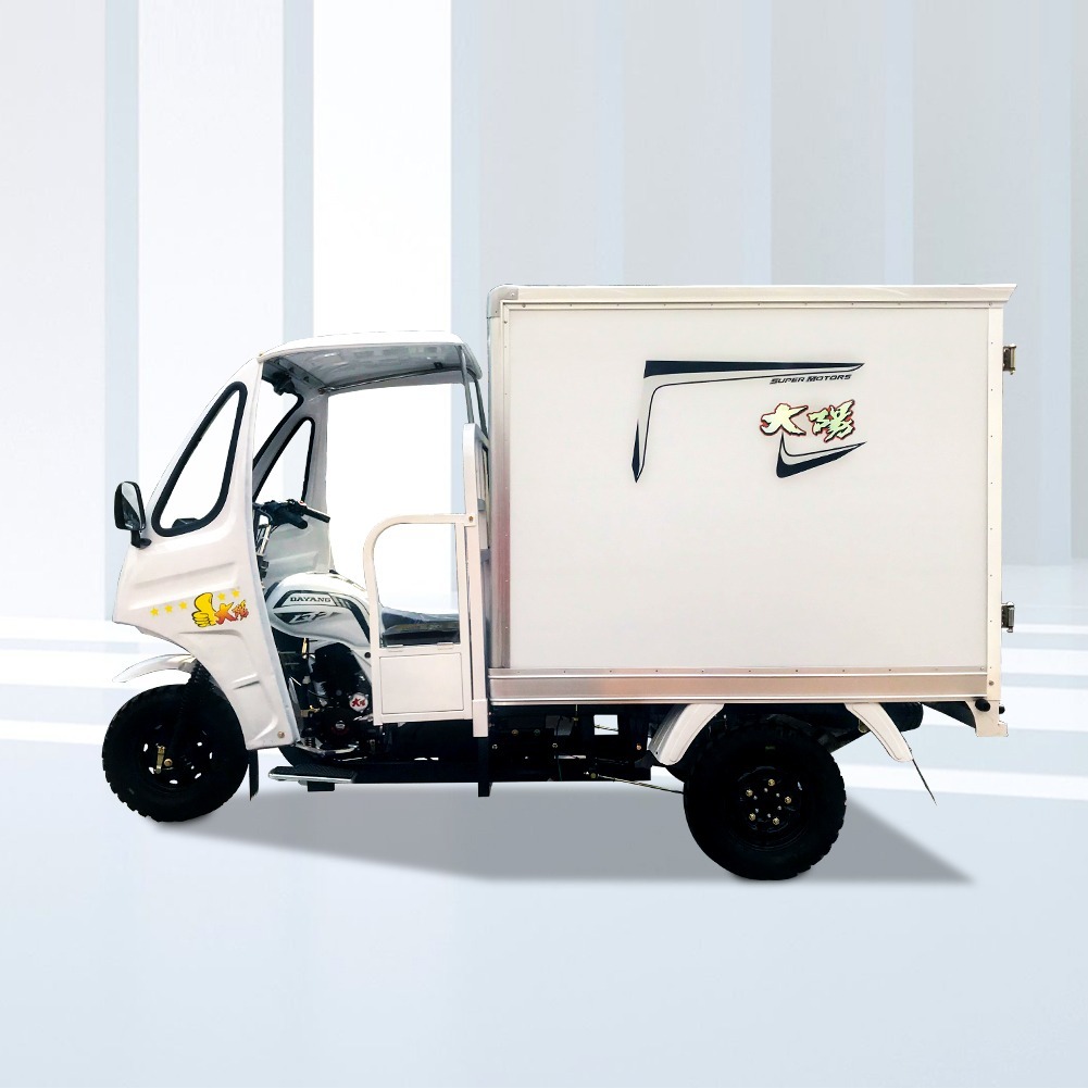 Three Wheel Refrigerator Cargo Tricycle with Iron Cabin and Hydraulic Rear Brake