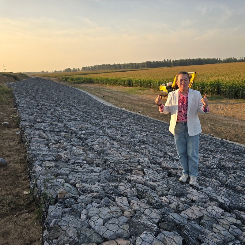 Philippine Size Mesh Gabions 2x1x1 m Easy Build Galvanized Baskets stone wall