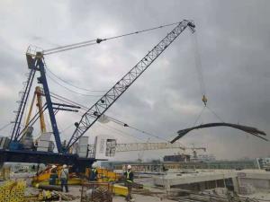 China High Rise 18m 4ton Building Construction Crane Hoisting Mechanism factory