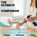 2pcs Per Pack Folded Gloves Biodegradable Gloves Disposable Food Grade Gloves