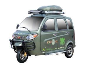 China 3 Wheel 75Ah 800W Mini Electric Cars For Adults factory