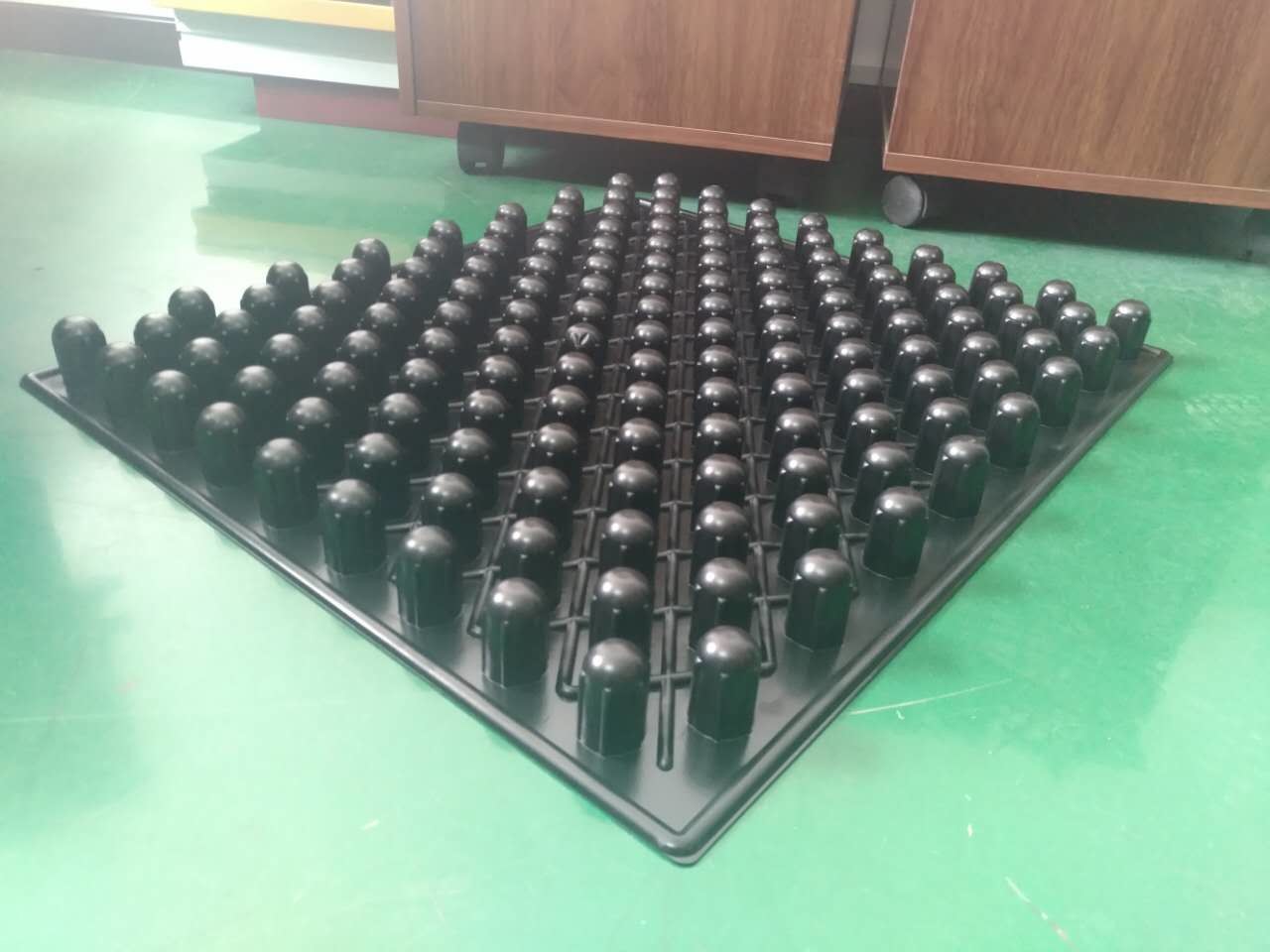 blister trays for seeding PS
